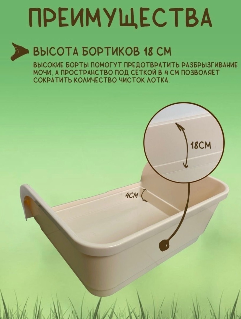 6PbzWTi17dQ